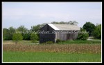 scgIMG_0882a A-BA17