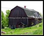 scgIMG_1037 A-BA18 - Orchard Park