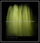 scgIMG_1124