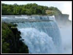 scgIMG_1296