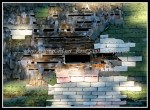 scgIMG_1389 A-BA26