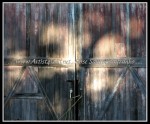 scgIMG_1392 A-BA28