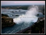 scgIMG_1525