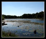 scgIMG_2062 REINSTEIN WOODS 09