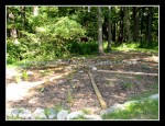 scgIMG_2078 REINSTEIN WOODS 04