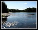 scgIMG_2084 REINSTEIN WOODS 03