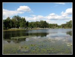 scgIMG_2102 REINSTEIN WOODS 33