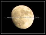 scgIMG_2114 MOON 10