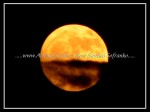 scgIMG_2198 MOON 08
