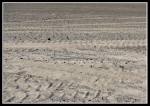 scgIMG_2517 W-LE26 - Woodlawn Beach