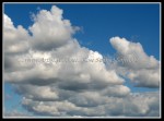 scgIMG_2541 W-LE39 - Woodlawn Beach