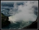 scgIMG_2681