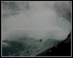 scgIMG_2703