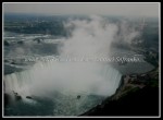 scgIMG_2706