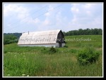 scgIMG_2753 A-BA33