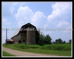 scgIMG_2771 A-BA34