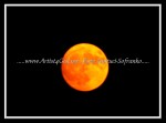 scgIMG_3114 MOON 07