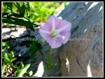 scgIMG_3881 scgIMG_3881