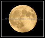 scgIMG_4267 MOON 06