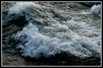 scgIMG_4458