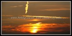 scgIMG_4513 SUN 13