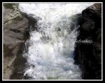 scgIMG_4918