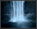 scgIMG_4942