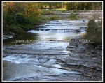 scgIMG_4943