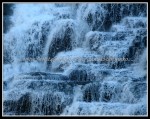 scgIMG_5002