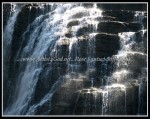 scgIMG_5003