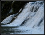scgIMG_5016