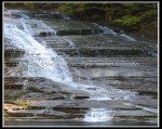 scgIMG_5069