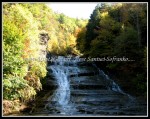 scgIMG_5083