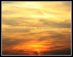 scgIMG_5210