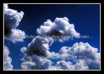 scgIMG_5596