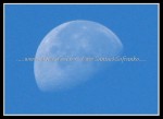 scgIMG_6242 MOON 04