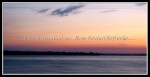 scgIMG_6512 SUN 08