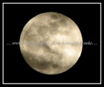 scgIMG_6590 MOON 03