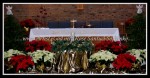 scgIMG_6862 scgIMG_6862