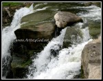 scgIMG_7767