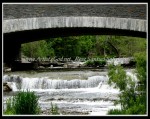 scgIMG_7782