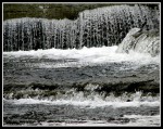 scgIMG_7783