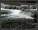 scgIMG_7790