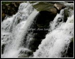 scgIMG_7813