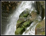 scgIMG_7817
