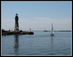 scgIMG_8720 A-L16 - Buffalo Main