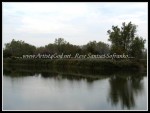 TIFFT FARM 02