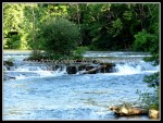 scgIMG_9265