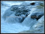scgIMG_9326