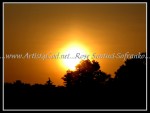 scgIMG_9417 SUN 06